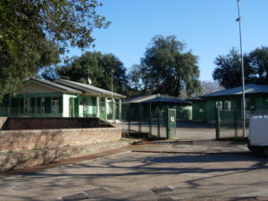 Primaria Sclavo